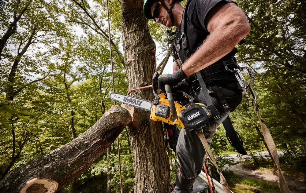 DeWALT -DeWALT Drupal Small DCCS674X2 A2